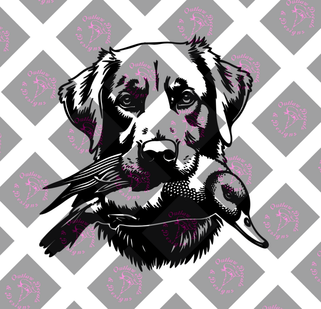 car decal