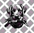 car decal