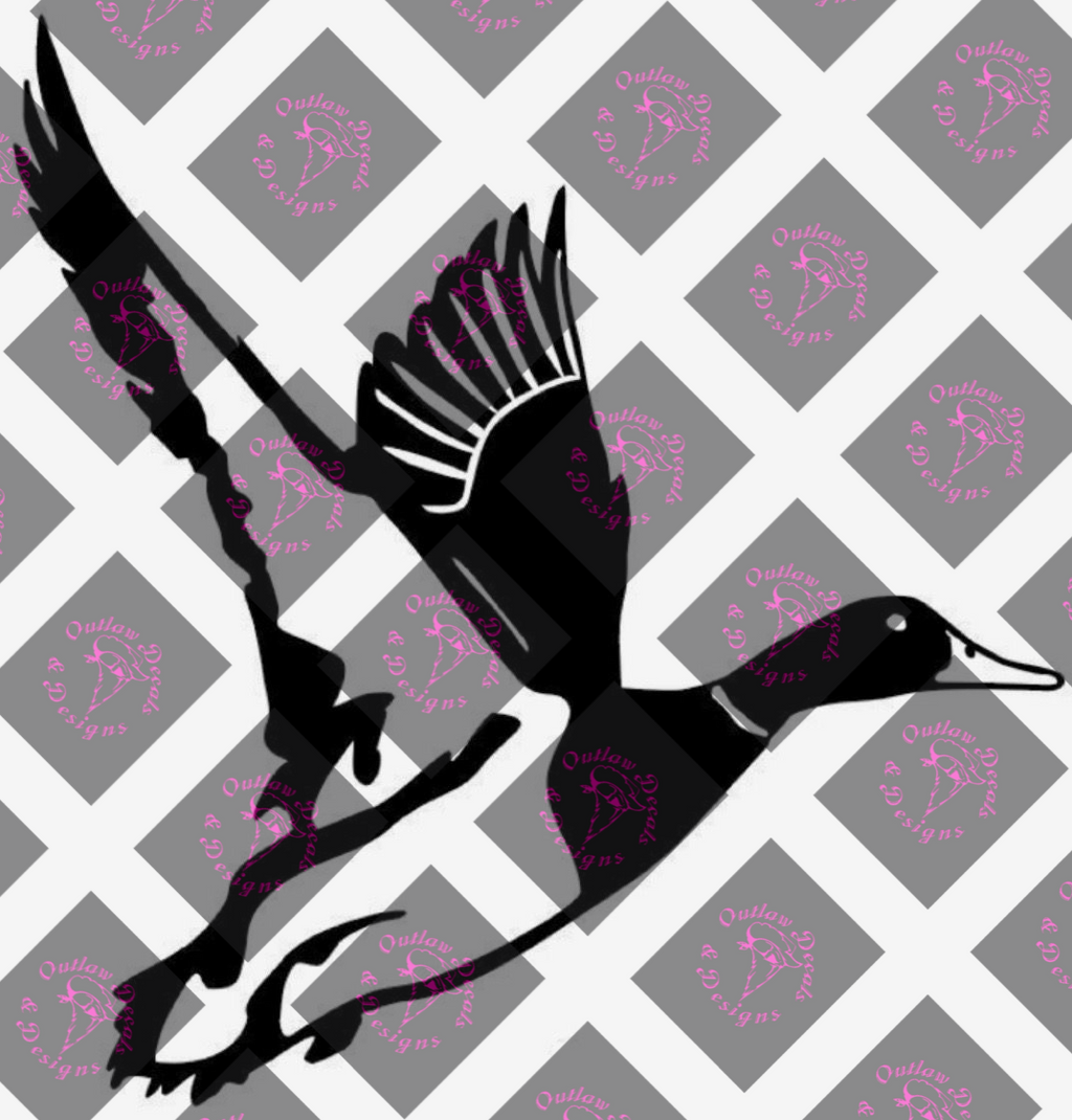 car decal