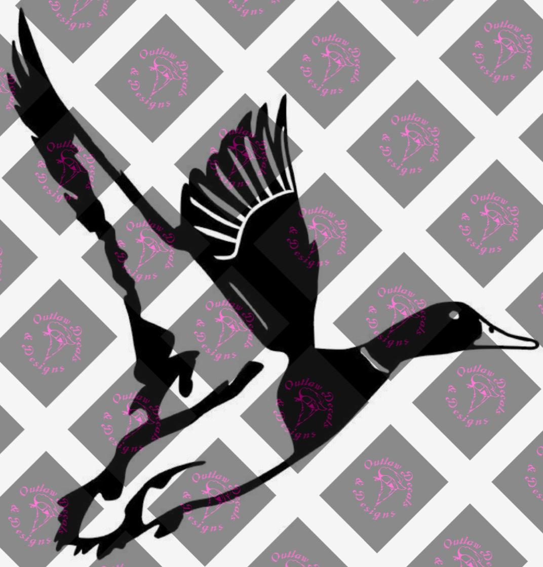 car decal